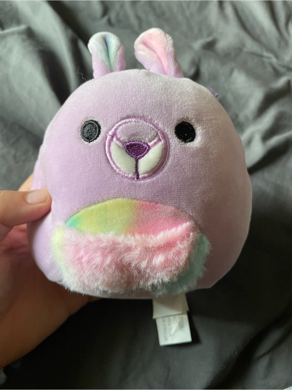 Squishmallow | Kiki the Kangaroo